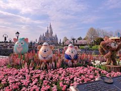 -上海迪士尼度假区