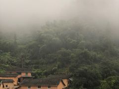 -杨家堂村