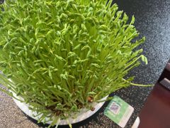 -葛记红焖羊肉(和平路形象店)