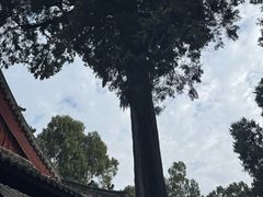 -七曲山风景区