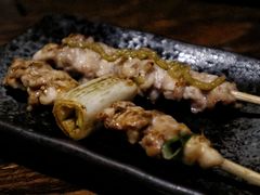 鸡肉葱串-木子烧鸟屋(百子湾店)