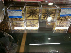 android_upload_pic-上海市第一医药商店(南京东路店)