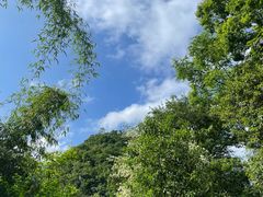 -黔灵山公园