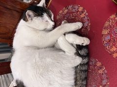 -正清和·推拿养生(第五郡店)