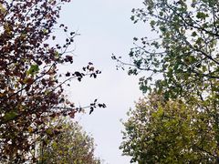 -家有美味(户部山二店)