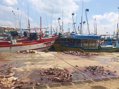 -尼甘布海鲜市场