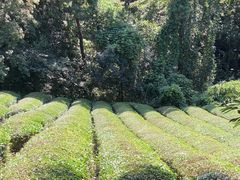 -敬亭山风景名胜区