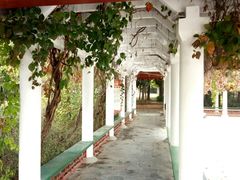 -洛阳市隋唐城遗址植物园