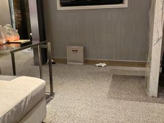 -榛悦隆堡成都酒店(春熙路太古里店)
