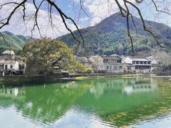 -鹿亭中村