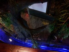 android_upload_pic-龙泉小镇(科圣路店)