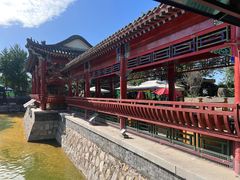 -尚庄度假村·庭台树下·户外烧烤·团建CS·轰趴营地(上庄水库店)