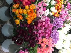 -双季花艺园艺市场(浦东店)
