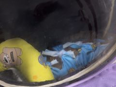 -半岛宠物医院24小时(科华中路店)