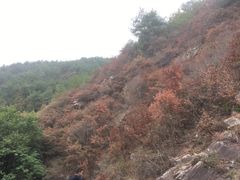 -木兰云雾山