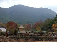 -塔川景区