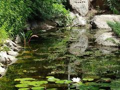 -天津盘山风景名胜区