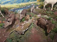 -陕西自然博物馆