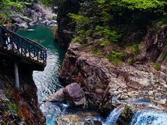 -龙湾潭国家森林公园