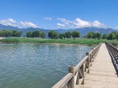 -野鸭湖国家湿地公园