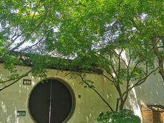 -上海醉白池公园