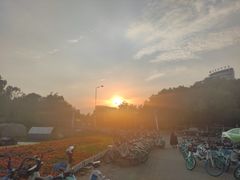 -天鹅湖体育公园