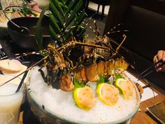 -芥末日本料理(打浦路铂尔曼旗舰店)