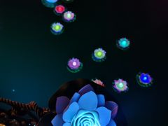-印象普陀