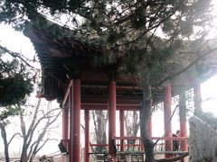 -国家植物园南园