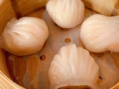 虾饺皇-咖啡苑 - 蔚藍夏日主题(永利皇宫店)