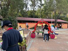 -广州长隆国际大马戏