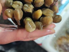 -霞涌市场海鲜摆卖区