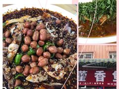 -老字号怡玺·藿香雅鱼(20年雅安店)