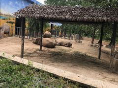 -西安秦岭野生动物园