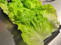 解腻生菜-青瓦炭韩潮烤肉(经开店)