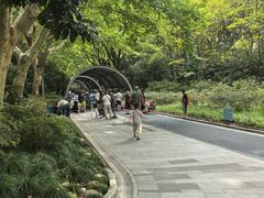 -人民公园-相亲角