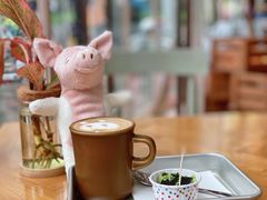 -WHEN PIGS FLY当猪飞