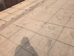 -丁香湖公园