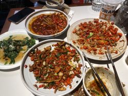 -LUNA皮相美·骨相美高级美感