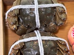 -黄记大闸蟹专卖店·活蟹·醉蟹