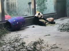 -西安秦岭野生动物园