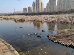 -前关湿地公园