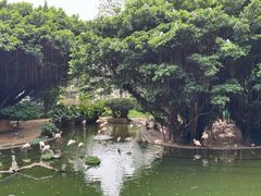 -九龙公园
