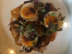 -Ocean's Table 欧舍