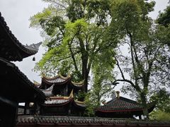 -峨眉山报国寺
