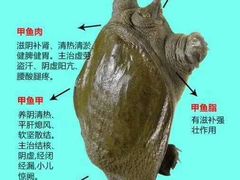 -珠光市场(文德南路)