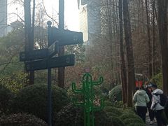 -人民公园-相亲角