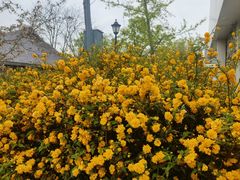 -江苏三台山国家森林公园