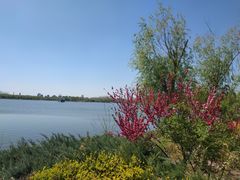 -大兴滨河森林公园