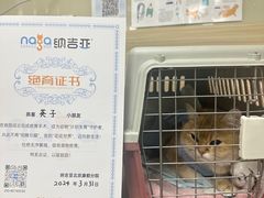 -纳吉亚猫专科动物医院(康都外科中心)